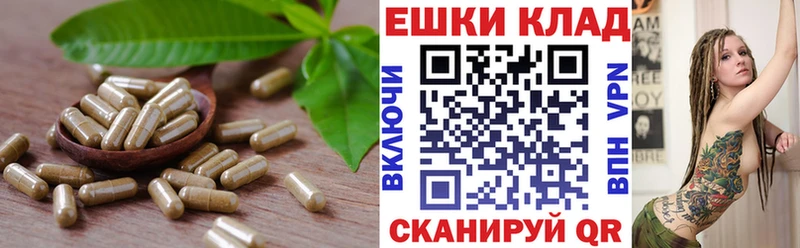 Ecstasy DUBAI Микунь