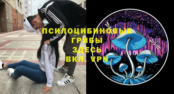 2c-b Алексин