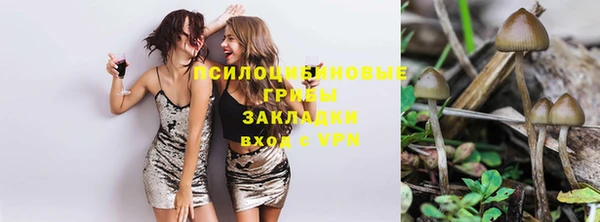 mix Алексеевка